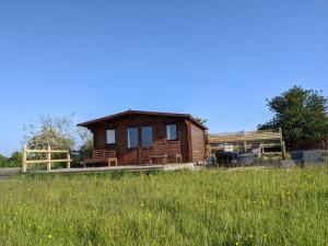 a small wooden cabin in a field of grass at Foxhill Lodges in Canterbury