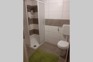 y baño con aseo y ducha con alfombra verde. en Haus Pinter in Schladming - Dachstein Region en Pruggern