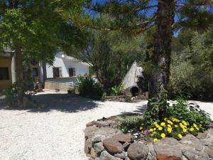 a garden with flowers and a tree and a building at B&B Littu in Cala Gonone