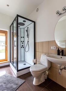 a bathroom with a shower and a toilet and a sink at Aušra in Druskininkai
