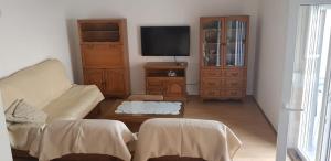 Apartment Sano في بودسترانا: غرفة معيشة مع أريكة وتلفزيون