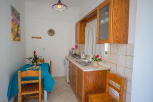 Kuchyň nebo kuchyňský kout v ubytování Spiros and Polyxeni Apartments Afionas
