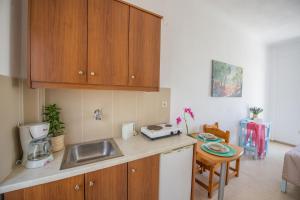 Kuchyň nebo kuchyňský kout v ubytování Spiros and Polyxeni Apartments Afionas