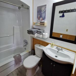 a bathroom with a white toilet and a sink at Knotty Pine Cottages, Suites & Motel Rooms in Ingonish Beach +130 photos