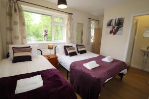 dwa łóżka w pokoju z oknem w obiekcie Winslow Green House w mieście Derby