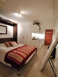 a bedroom with a large bed and a kitchen at SKI In/Out Monteblanco El Colorado in Santiago