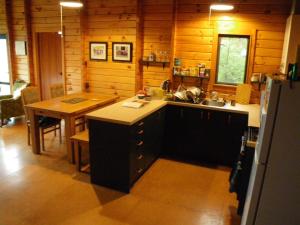 - une cuisine avec un évier et une table dans une cabine dans l'établissement Arthur's Pass Ecolodge, à Cass