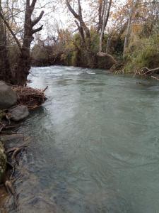 Foto de la galería de אצלנו - בגליל העליון en Qiryat Shemona