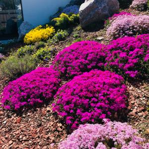 Giardino di Ferienwohnung Steiner