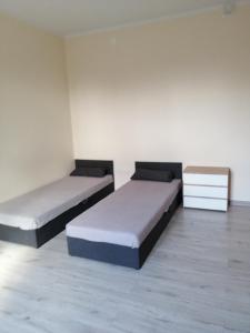 2 łóżka w pokoju z białymi ścianami w obiekcie Apartament Stanisławskiego w Łowiczu