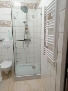 ein Bad mit einer Dusche und einem WC in der Unterkunft Apartament Stanisławskiego in Łowicz