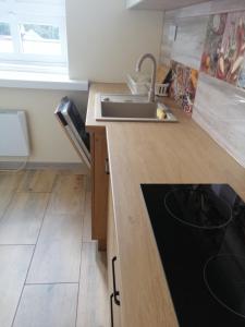 Fotografia z galérie ubytovania Apartament Stanisławskiego v destinácii Łowicz