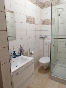 W łazience znajduje się toaleta, umywalka i prysznic. w obiekcie Apartament Stanisławskiego w Łowiczu