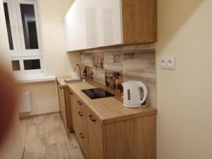 Fotografia z galérie ubytovania Apartament Stanisławskiego v destinácii Łowicz