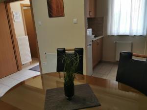 Kuchyňa alebo kuchynka v ubytovaní Csabai Apartman