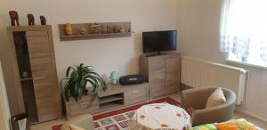 TV a/nebo společenská místnost v ubytování Ferienwohnung Parkstraße