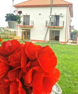 un mazzo di fiori rossi in un cortile di Casa Perla Mării a 2 Mai