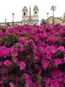 Zahrada ubytování Rome in your heart - Spagna apartment