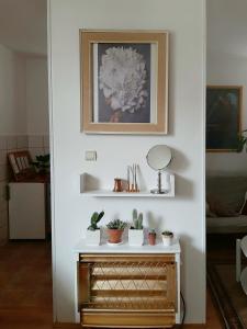 Fotografie z fotogalerie ubytování Lovely bright Apartment with Backyard-renovated! v destinaci Sremska Kamenica