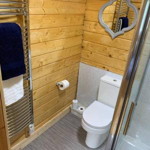 y baño pequeño con aseo y ducha. en Immaculate cabin 5 mins to Inverness dogs welcome en Inverness