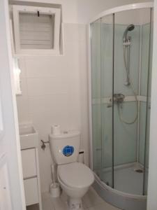 a bathroom with a toilet and a glass shower at Dovolenkový dom priamo na brehu in Dunajská Streda