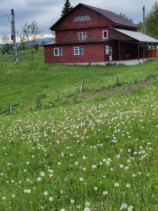 a field of flowers in front of a red barn at Cabana Elena in Gîrda de Sus