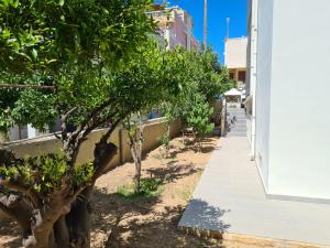 Une rangée d'arbres sur un trottoir à côté d'un bâtiment dans l'établissement Monte Smith City Home, à Rhodes