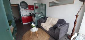 a living room with a couch and a table at Studio les pied dans l eau ! in Canet-en-Roussillon +7 photos