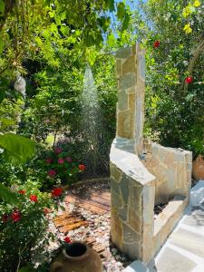 A garden outside Seaside Studios Arkasa Karpathos