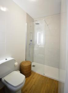 a bathroom with a toilet and a glass shower at Santiago Apartment in Santiago de Compostela