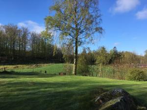 Loodusmaastik puhkemajakeste lähedal