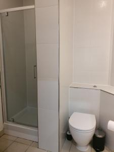 a white bathroom with a toilet and a shower at Heart of YORK in York