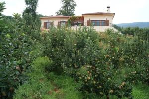Giardino di Spacious Paradise with stone-build patio