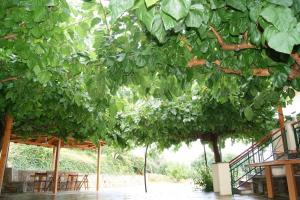 Giardino di Spacious Paradise with stone-build patio