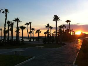 puesta de sol sobre la playa con palmeras y bancos en Il Tempio di Vesta, en Civitavecchia