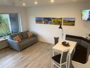 TV a/nebo společenská místnost v ubytování Haus am Sonnenberg,Todtnauberg, Ferienwohnung 002, direkt am Skilift-Skipiste, Nähe Feldberg + 15 fotografií