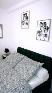 um quarto com uma cama verde e duas fotografias na parede em Maisonnette en hyper centre d’Orléans em Orléans