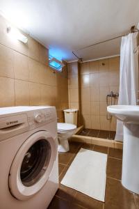 a bathroom with a washing machine and a toilet at Villa Archontiki II in Vryses