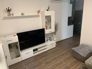 En TV eller et underholdningssystem på Apartment Old Town Izola
