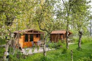 een kleine houten hut in een veld met bomen bij Wijndomein de Vier Ambachten -overnachten in de wijngaard in Simonshaven