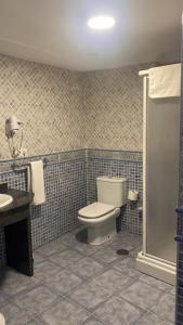 a bathroom with a toilet and a sink at Apartamentos Balcon de Carabeo in Nerja