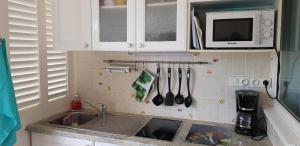 a kitchen counter with a sink and a microwave at COZY Studio 331 ADR in Saint-François