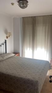 
Cama o camas de una habitación en Apartamentos Balcon de Carabeo
