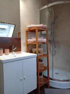 a bathroom with a sink and a shower at Apartament 39 in Karpacz