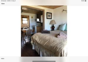 una camera con letto, tavolo e sedia di Bird Island Accommodations Elliston a Elliston