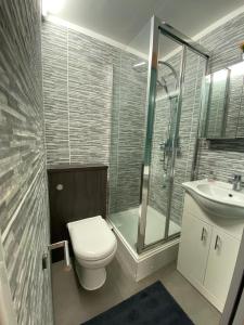 a bathroom with a toilet and a shower and a sink at Roof Garden Flat in London