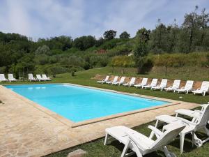 a swimming pool with lounge chairs and a group at Tenuta degli Obizzi in Montecarlo