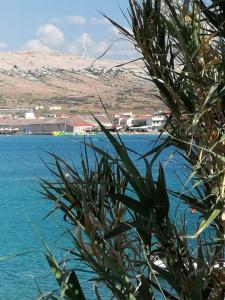 Foto dalla galleria di Sol apartman a Pag