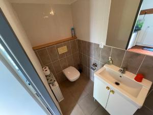 a bathroom with a sink and a toilet at Farma u Prokopů Humpolec in Humpolec