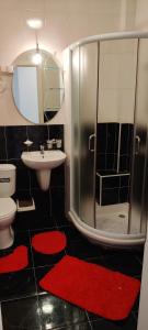La salle de bains est pourvue d'une douche, d'un lavabo et de tapis rouges. dans l'établissement Apartman Kata, à Vrnjačka Banja